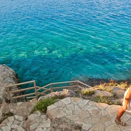Daphne By The Sea *